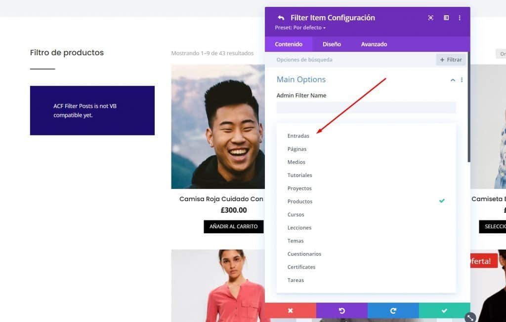 Crear Filtros en tienda online en Divi con Divi Ajax Filter opciones